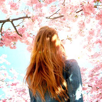 Ксения Бабик | Владимир-Волынский