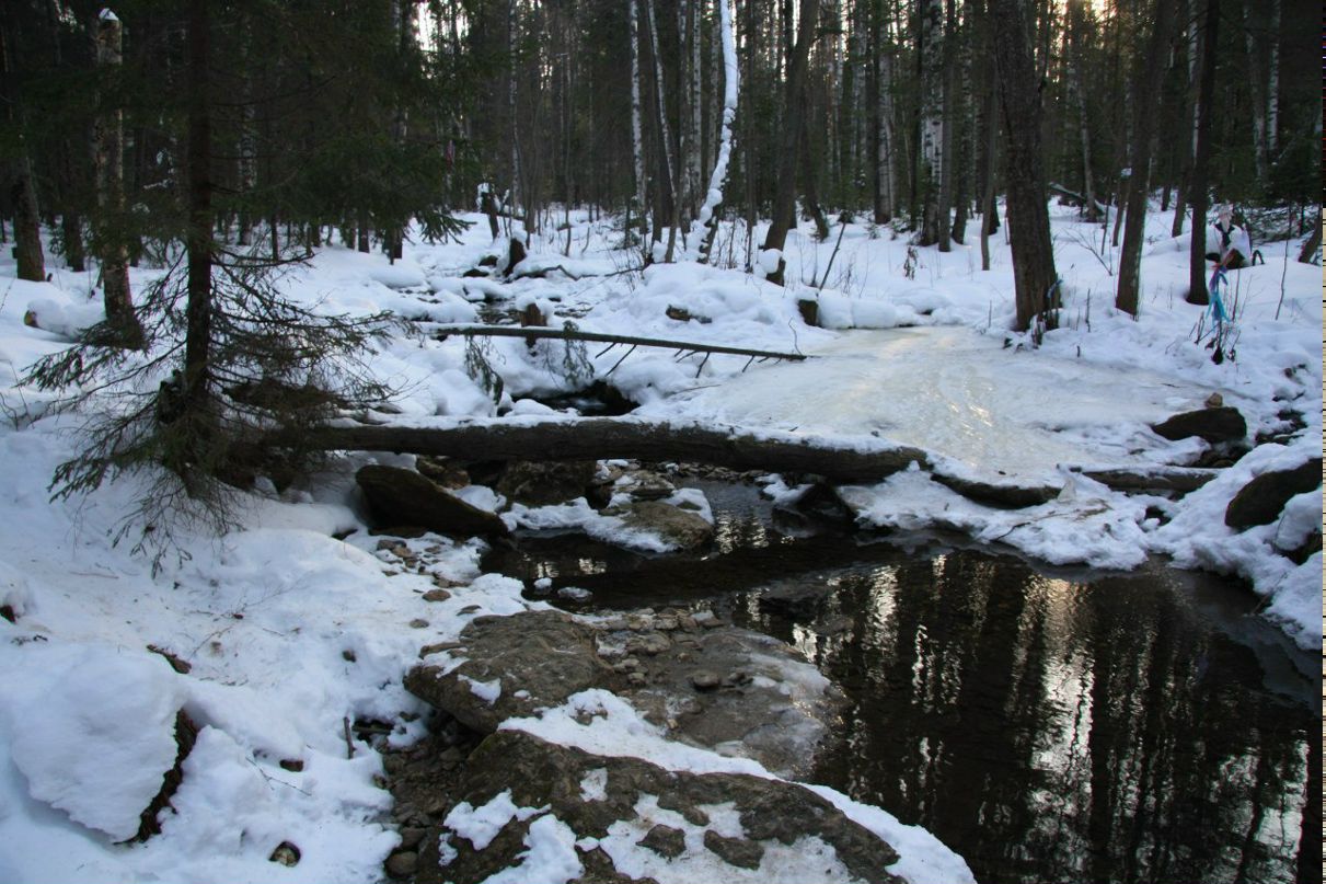 Константин Фесин | Екатеринбург