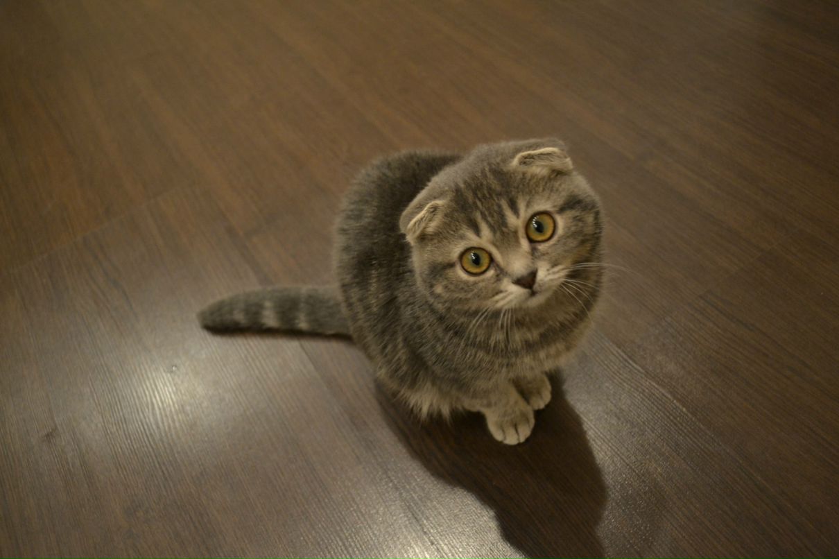 Маша Басова | Екатеринбург