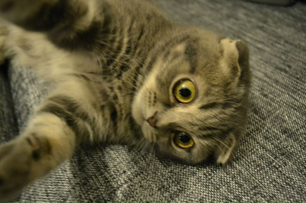 Маша Басова | Екатеринбург