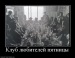Андрей Майер фотография #44