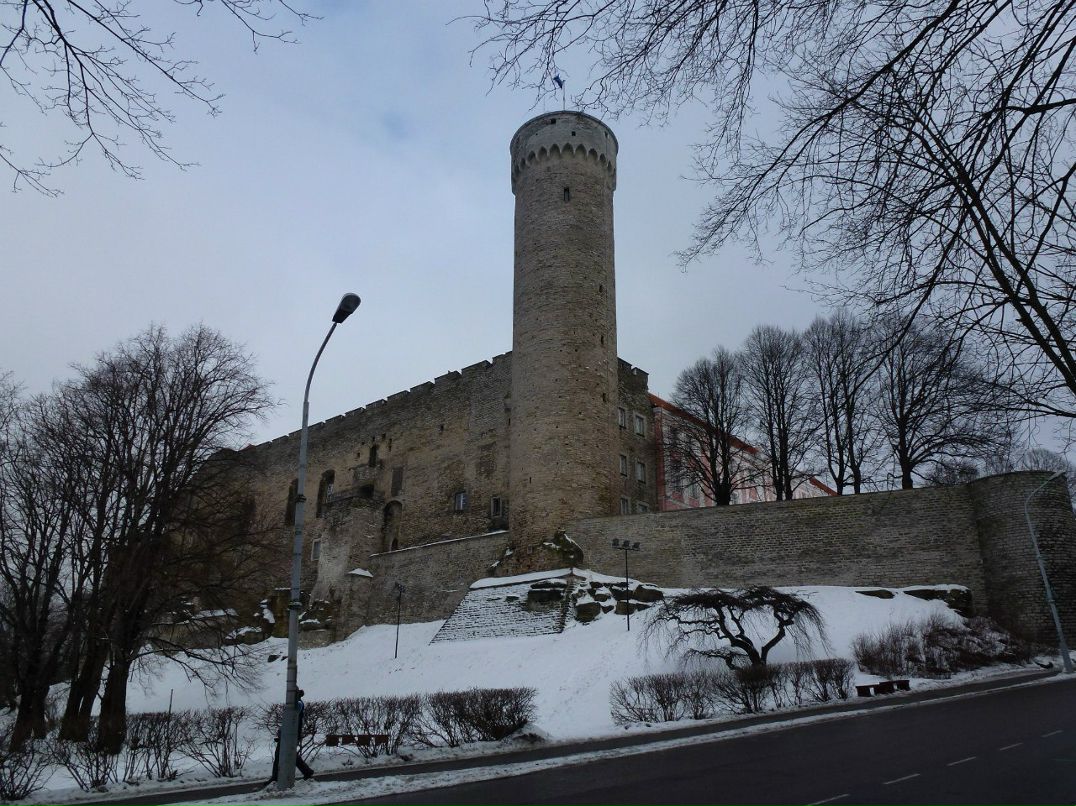 Ольга Целищева Олюшка | Санкт-Петербург
