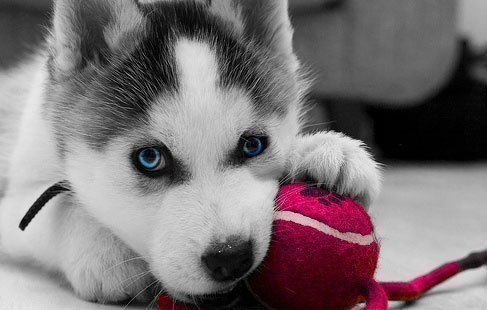 Алмаз Арзамасов alm@zka | Набережные Челны