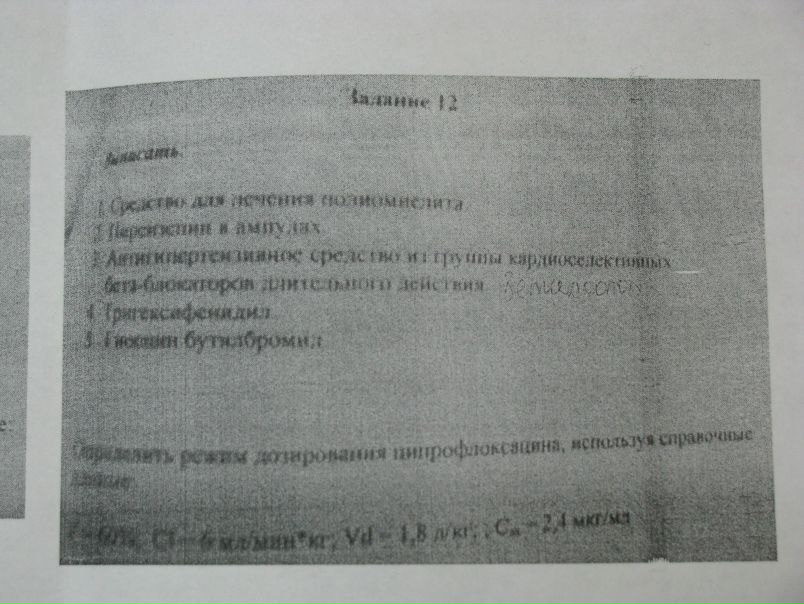 №21, Настя Шурова, Минск №21, Настя Шурова, Минск