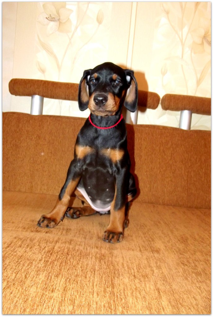 Кристина Щербак | Одесса