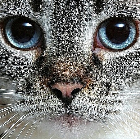 Im Ksenya the most beautiful | Пенза