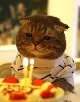 Daria Turchenko | Хабаровск