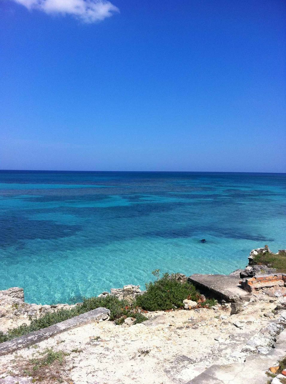 Варвара Елисеева Дмитриевна | Санкт-Петербург