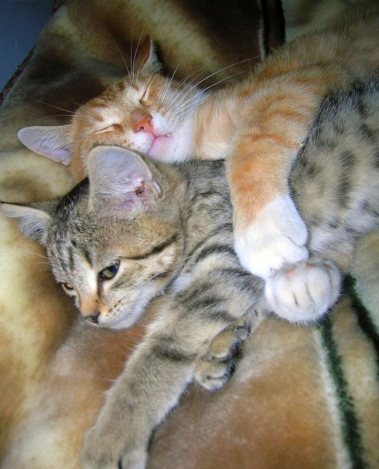 Ясмин Ихсанова | Москва