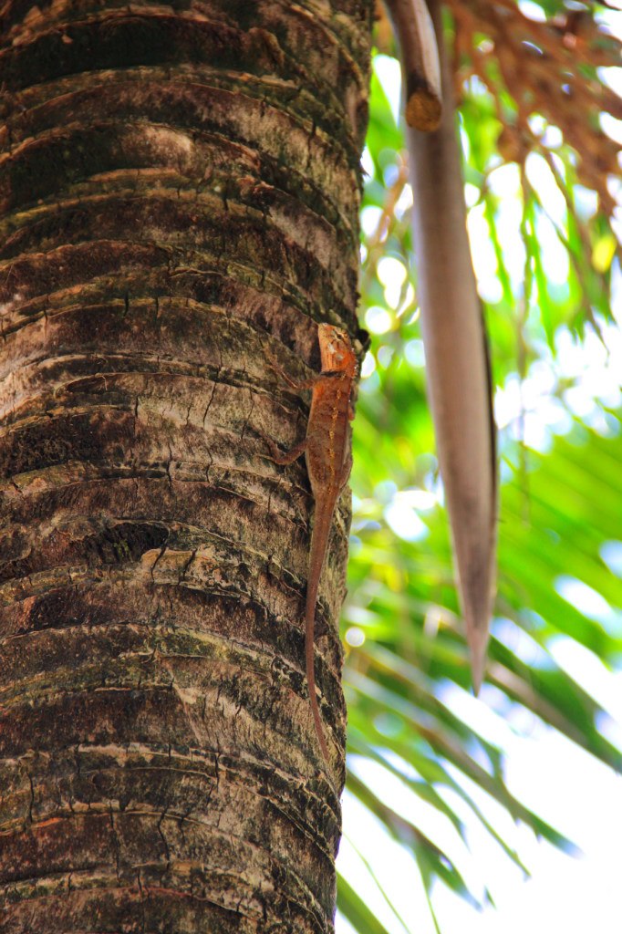 Татьянка Ловягина | Москва