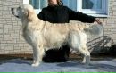№14 Ирина Иорданова : профиль, фото, статус - ВКонтакте