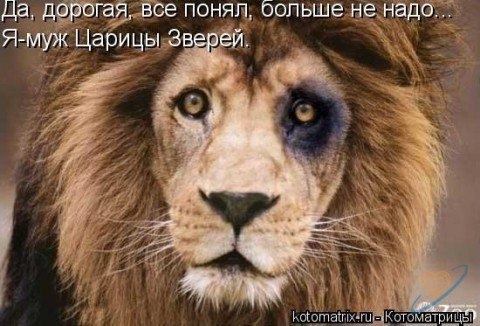 Николай Пастух | Луганск