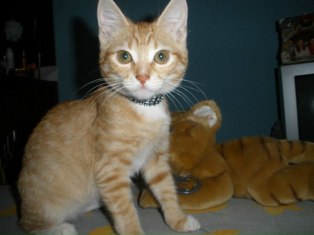 Варвара Туманова | Санкт-Петербург