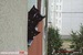 Эля Остапенко фотография #22