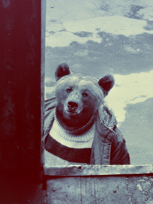 Павел Абрамов ♠♣♥♦ | 