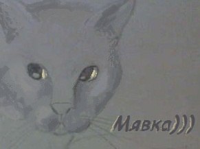 Клим Авизов | 