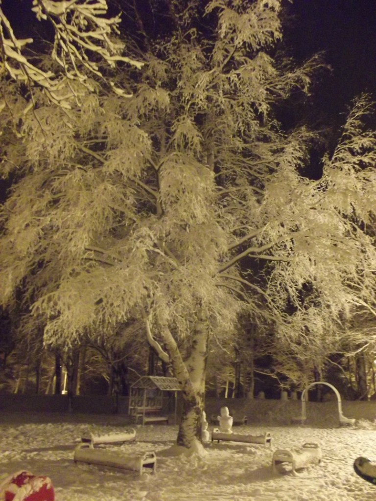 Юля Сивова | Санкт-Петербург