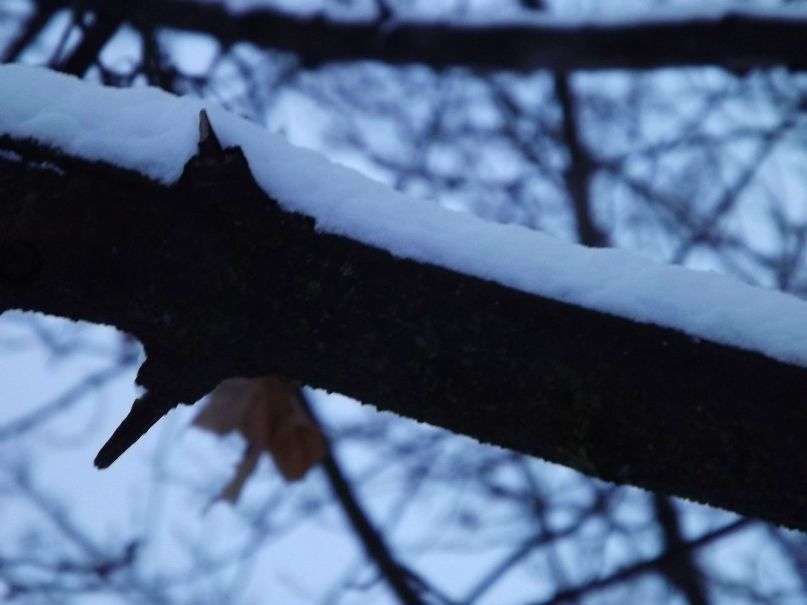 Инна Козина с(: | Киев