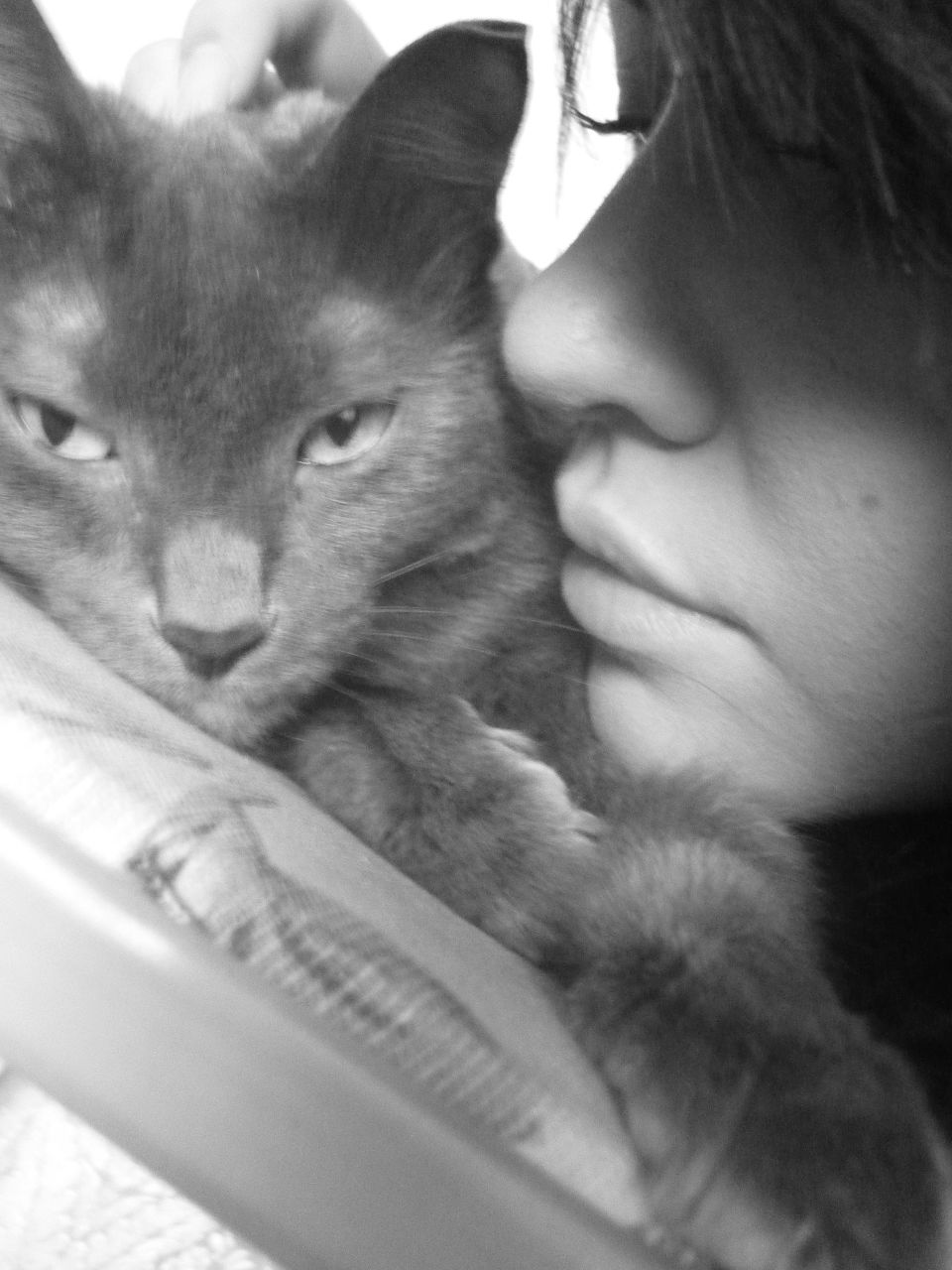 Анастасия Черникова | 