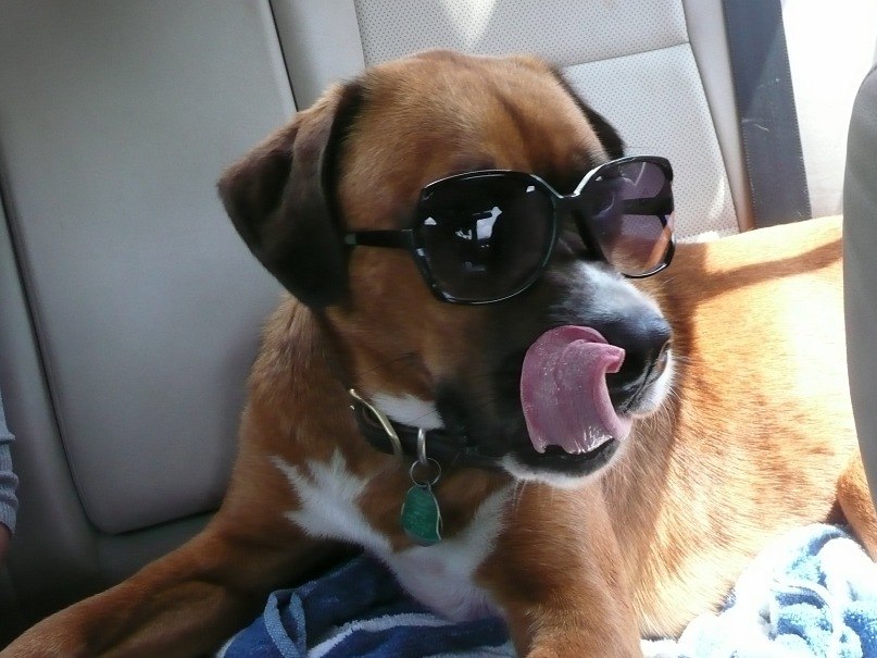 Наташа Загребина | Санкт-Петербург