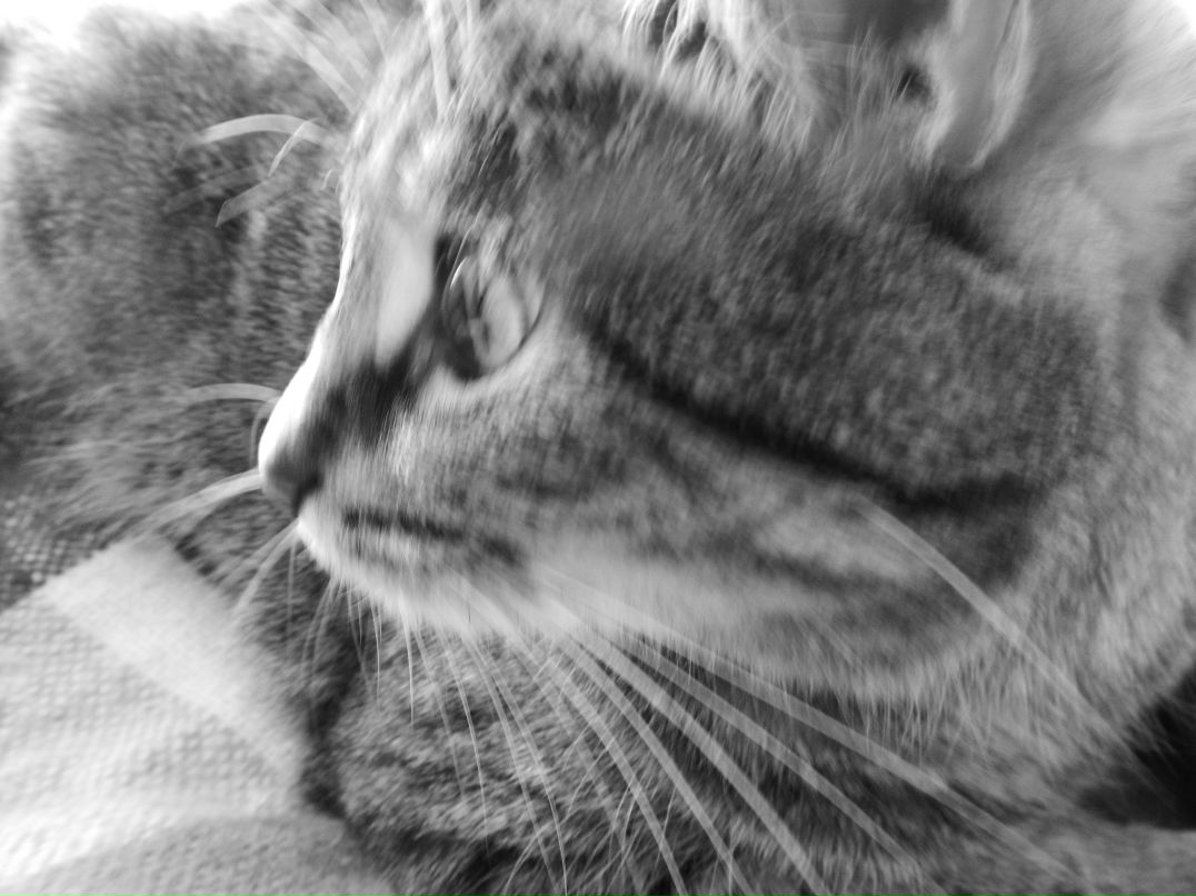 Джения Веслова | Санкт-Петербург