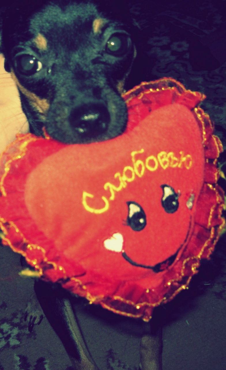 Маргарита Зудочкина | Саратов