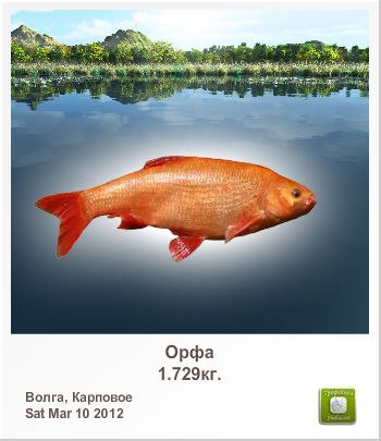 Александр Силин | Великие Луки