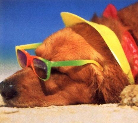 Хурма Ли Сергеевич | Самара