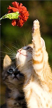 №94, Константин Чернявский, 47 лет, Киев №94, Константин Чернявский, 47 лет, Киев