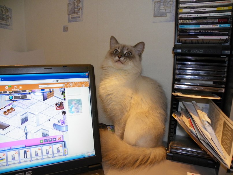 Ирина Чуйкова | Минск