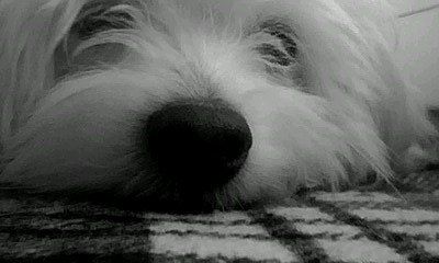 Настя Котова | Минск