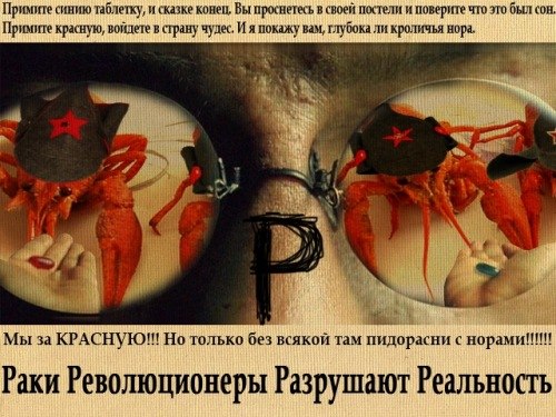 Lazy Bitch | Москва