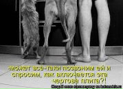 №41 Аня Ткачева 05.06.1985: профиль, фото, статус - ВКонтакте