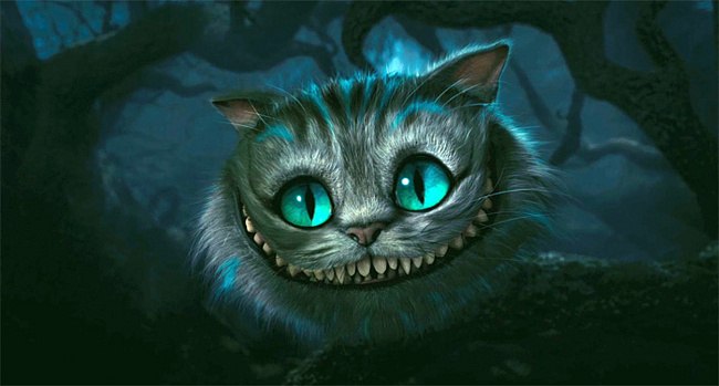 Никита Чайкин | Киев