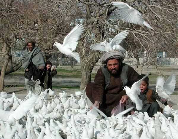 Мустафа Хабиб | Тюмень