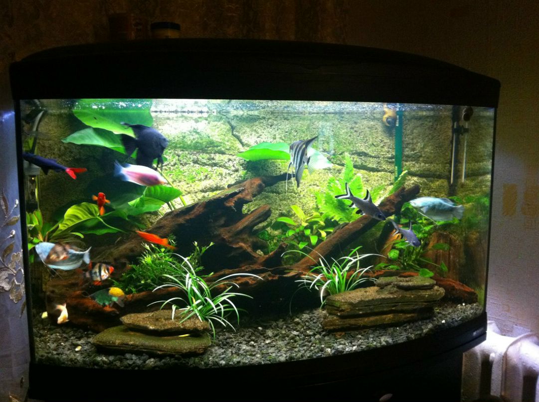 Александр Афанасьев | Москва