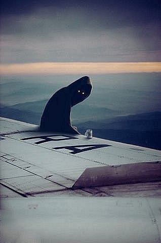 Алёна Дорофиенко | 