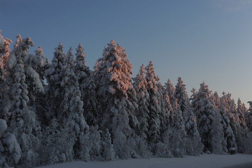 Вова Галайко | Москва