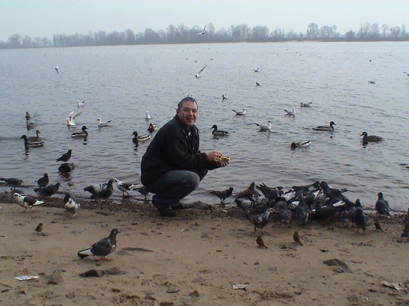 Миша Покровский вячеславович | Киев