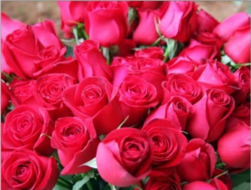 Ирина Салимова | Октябрьский