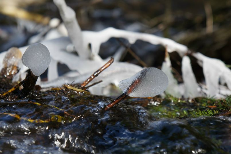 Юлия Малькова | Санкт-Петербург