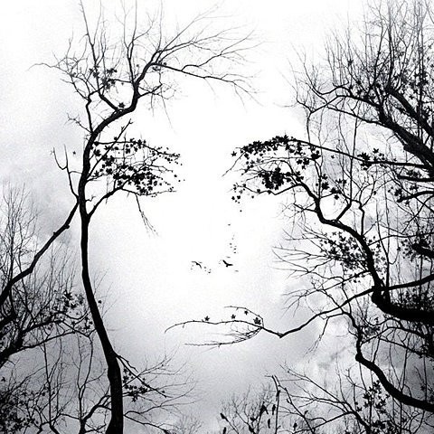 №16, Ольга Коршунова №16, Ольга Коршунова