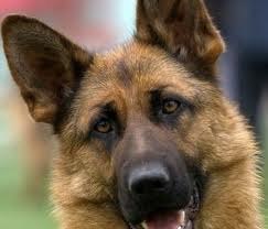 Денис Атанбаев | Уфа