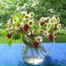 №36 Марина Квон 04.04: профиль, фото, статус - ВКонтакте