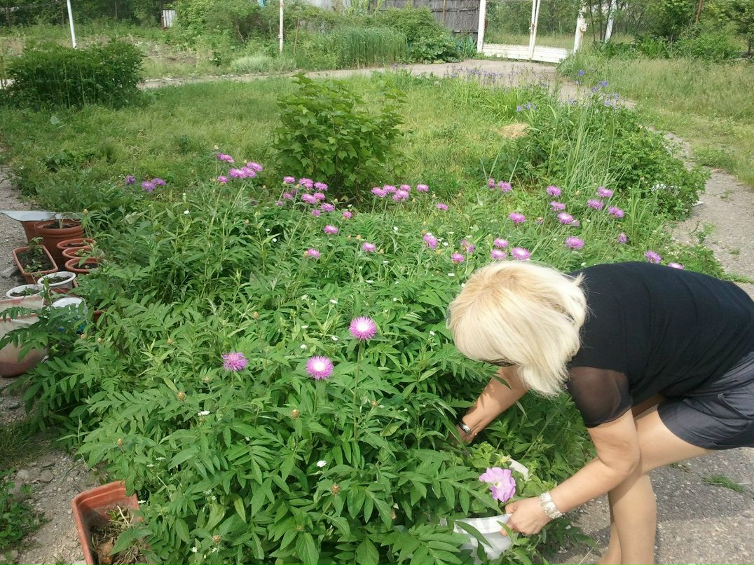 Сауле Бусик | Алматы