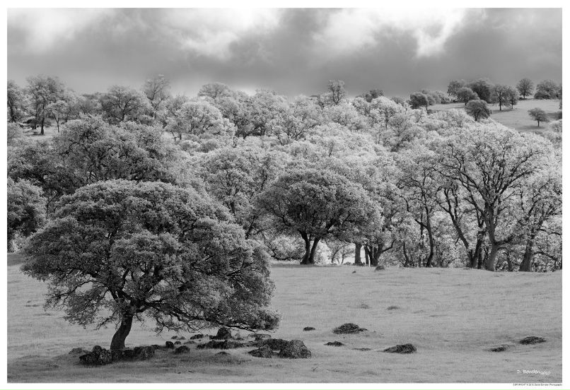 Никита Живин Игоревич | Екатеринбург