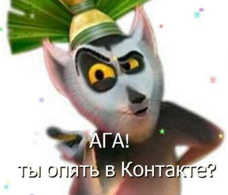 Елена Гаськова | Сыктывкар