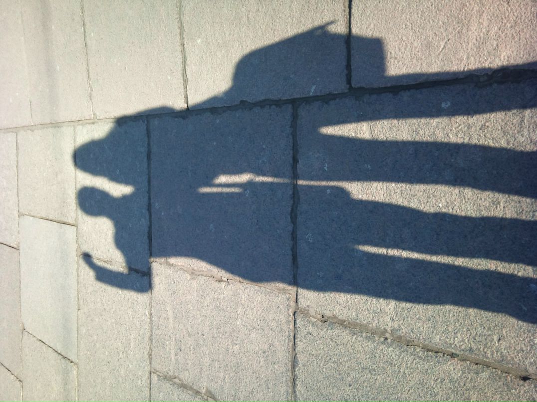 Владимир Соколов | Санкт-Петербург