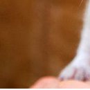 №101, Настя Кот, 27 лет, Обнинск №101, Настя Кот, 27 лет, Обнинск