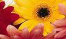 Екатерина Кузьмина ♥ | Хабаровск